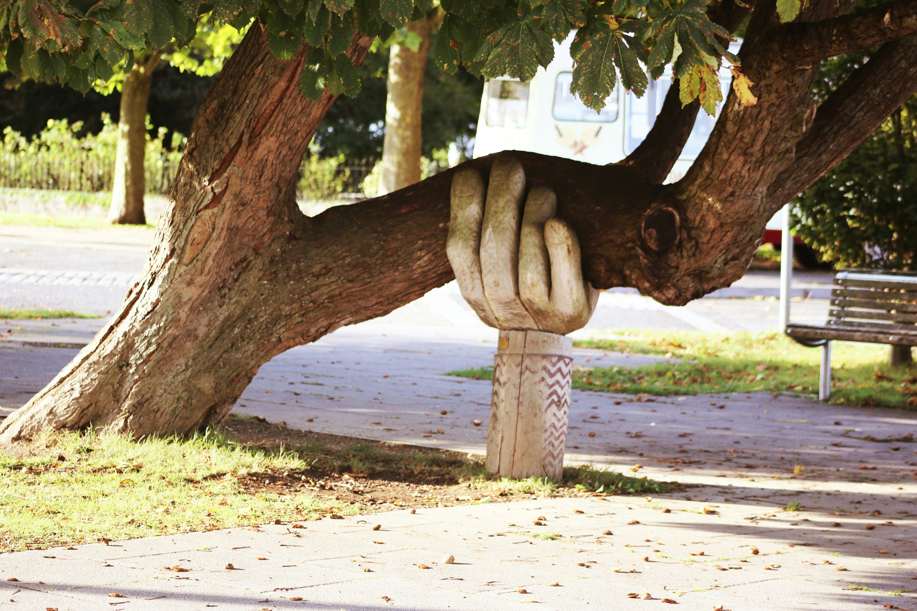 Main sculptée en bois soutenant une branche d'arbre, symbole de soutien et d'adaptabilité
